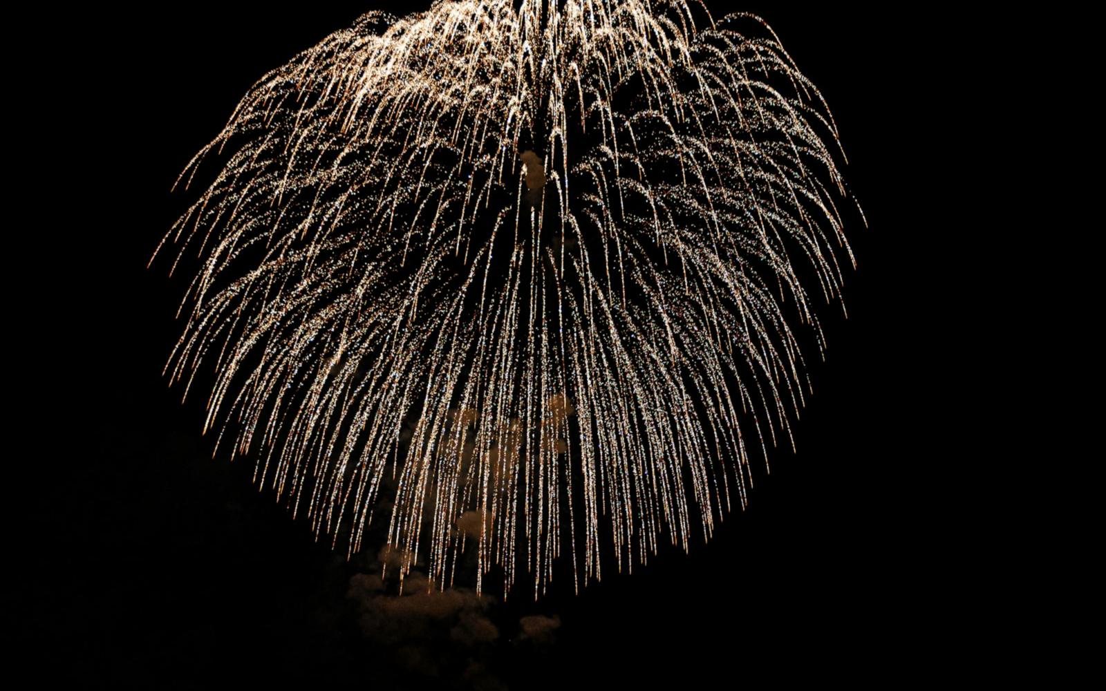 Fireworks over the harbor