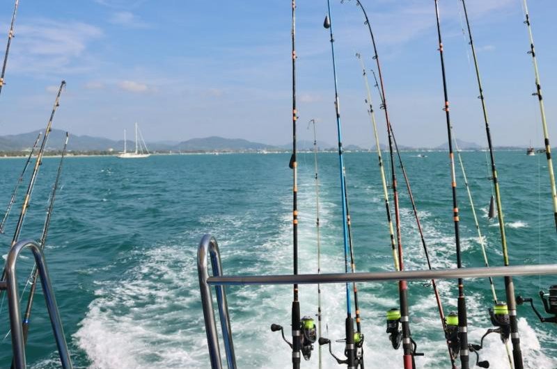 Fishing rods off the back of a charter boat